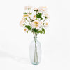 Clear glass vase with white flowers on a white background