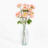 Clear glass vase with pink flowers on a white background