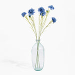 Clear glass vase with blue flowers on a white background
