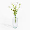 Clear glass vase with white flowers on a white background
