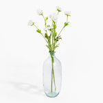 Clear glass vase with white flowers on a white background