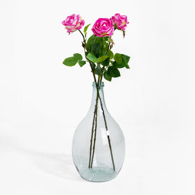 Clear glass vase with pink roses on a white background