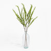 Clear glass vase with green branches on a white background