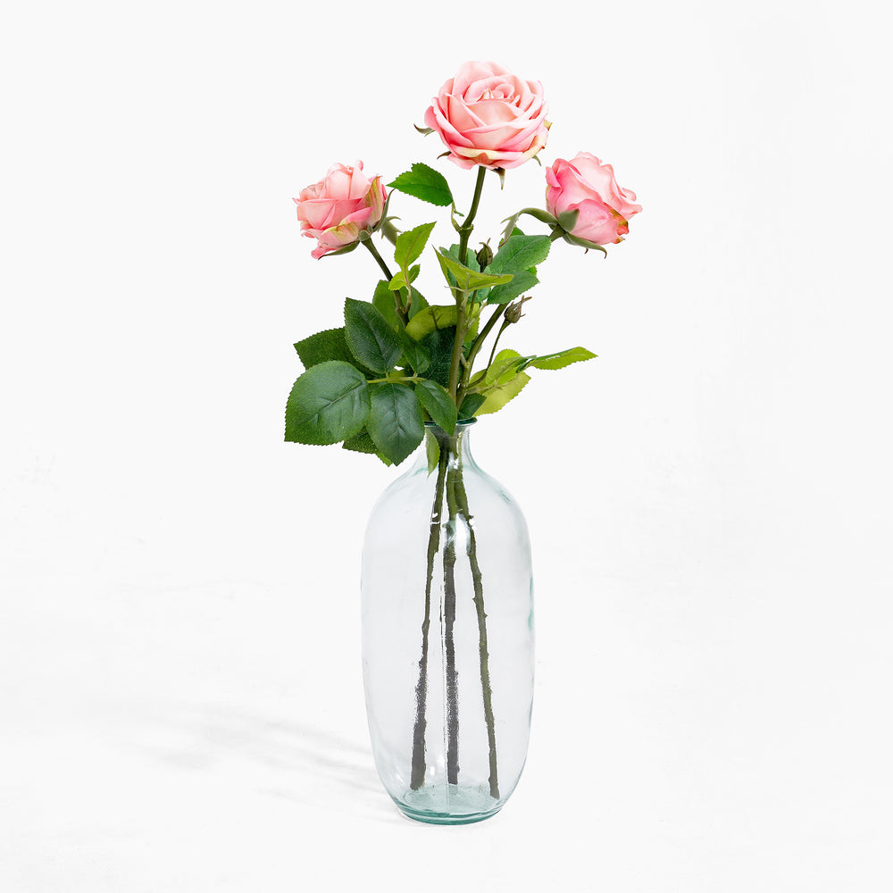 Clear glass vase with pink roses on a white background