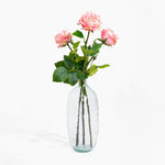 Clear glass vase with pink roses on a white background