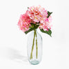 Clear glass vase with pink flowers on a white background
