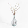 Clear glass vase with dried branches on a white background