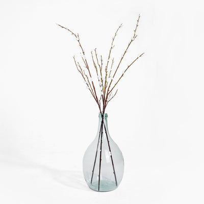 Clear glass vase with dried branches on a white background