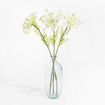 Clear glass vase with dried plants on a white background