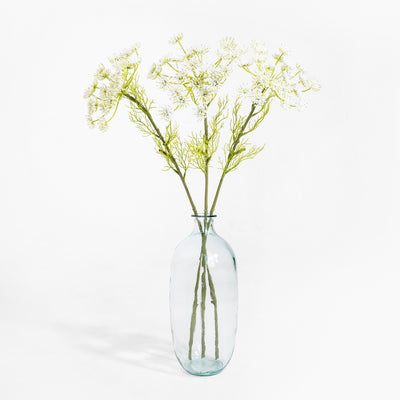 Clear glass vase with dried plants on a white background