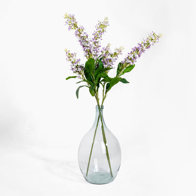 Clear glass vase with purple flowers on a white background
