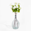 Clear glass vase with white flowers and green leaves on a white background