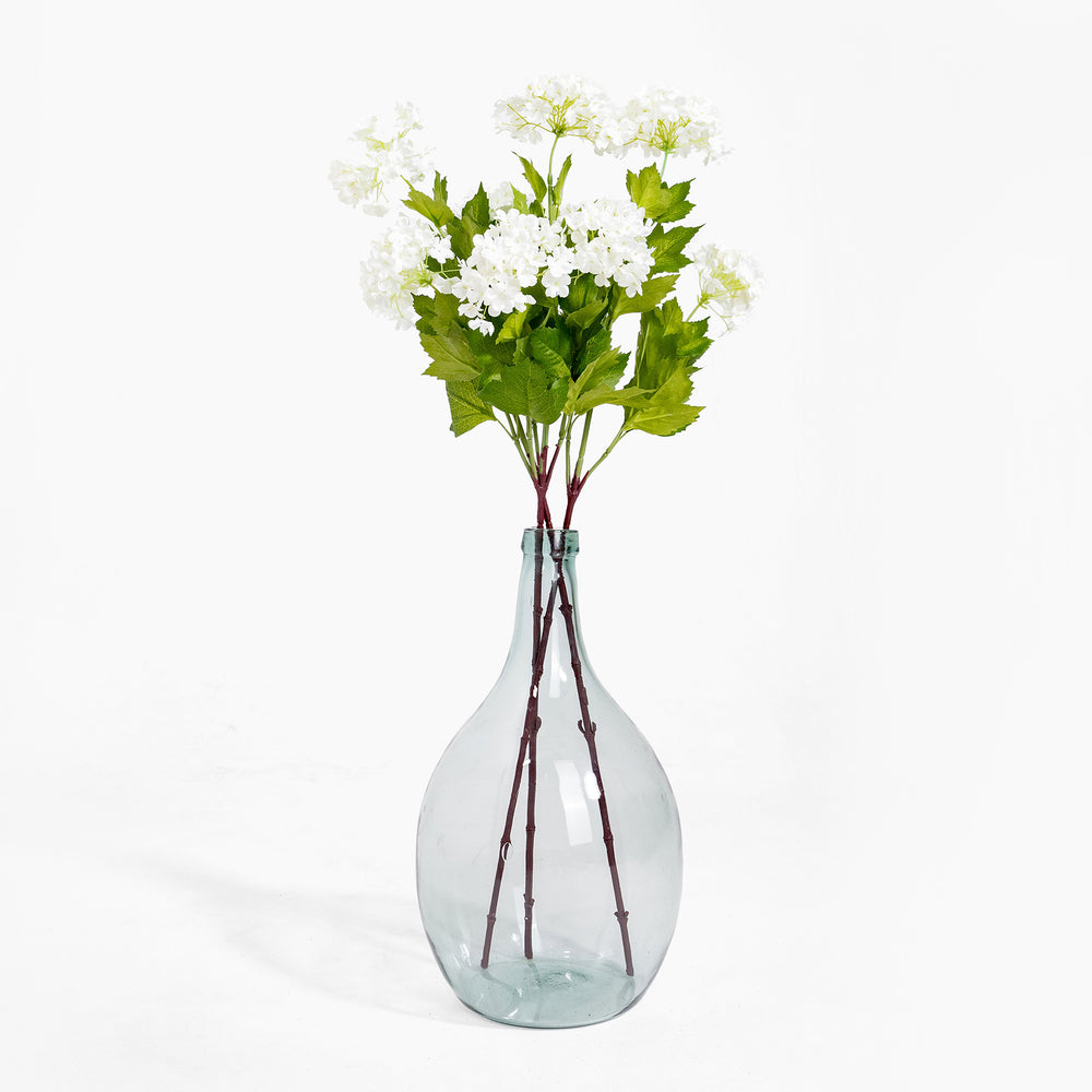 Clear glass vase with white flowers and green leaves on a white background