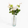 Clear glass vase with white flowers and green leaves on a white background