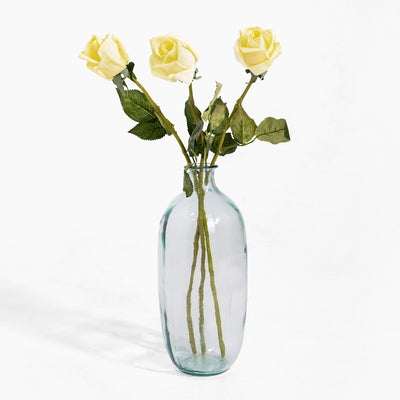 Clear glass vase with yellow roses on a white background