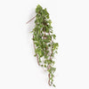 A hanging artificial ivy vine with green leaves and reddish-brown stems, shown against a plain white background.
