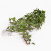 Artificial ivy vine with glossy green leaves and reddish-brown stems, photographed on a plain white background.