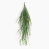 Trailing grass