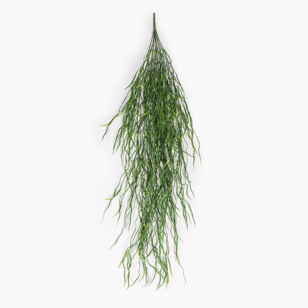 Trailing grass