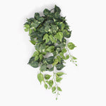 An artificial green variegated ivy plant with glossy, oval-shaped leaves and trailing vines, shown against a plain white background.