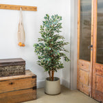 Potted tree in a hallway with wooden door and chest.