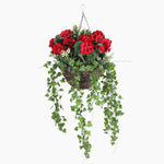 Wild berry & geranium hanging basket