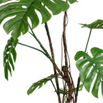 Wild monstera